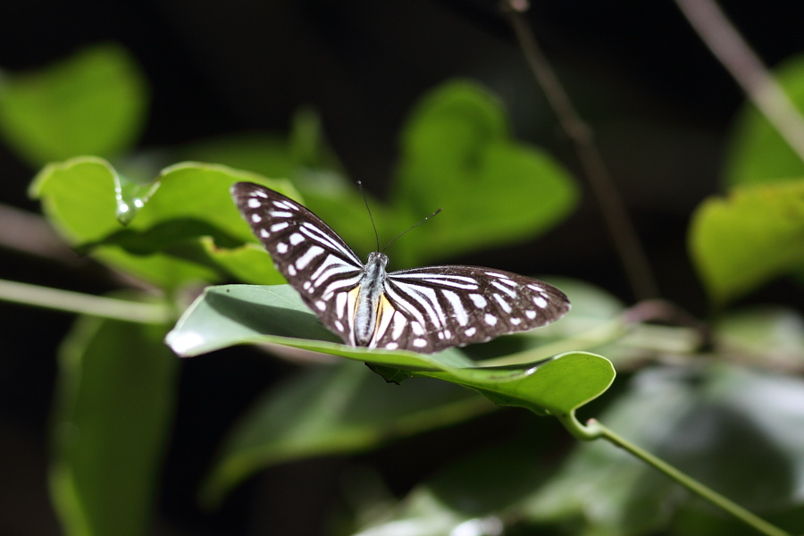 a0094850_14244538.jpg