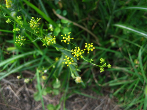 c0179351_10254824.jpg
