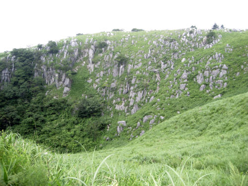 c0179351_10363560.jpg