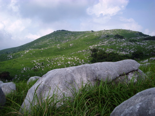 c0179351_10452252.jpg