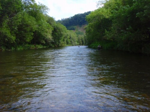 c0097652_22401648.jpg