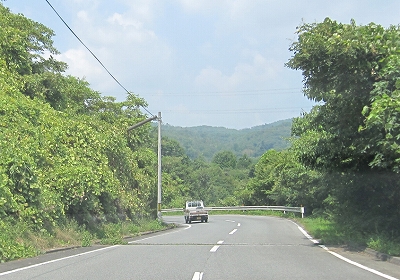 d0031853_5135078.jpg