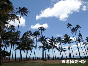 f0190653_1741643.jpg