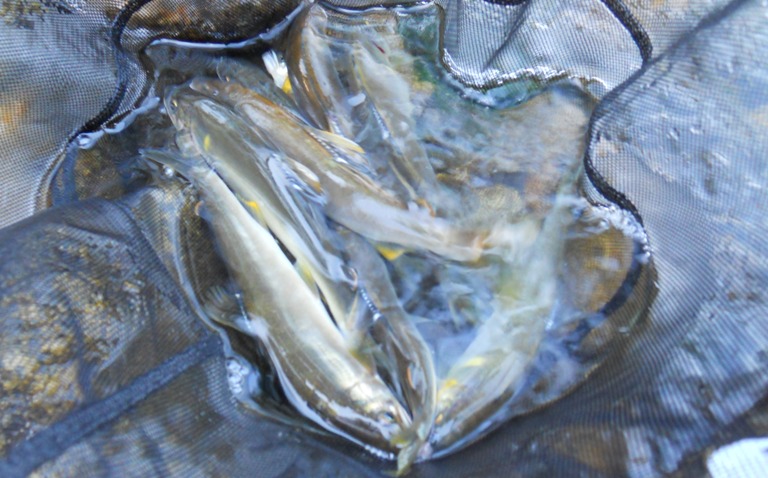 c0080856_819452.jpg