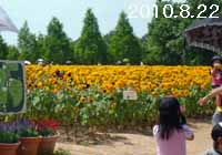 e0149157_6592662.jpg