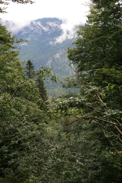 f0077159_4581025.jpg