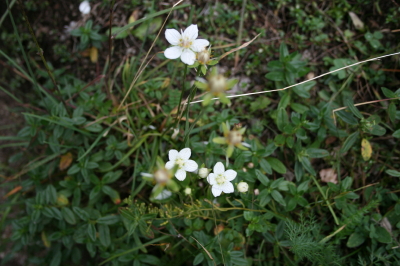 f0077159_4591976.jpg