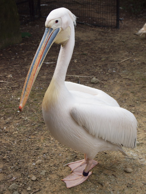 c0186760_21354625.jpg