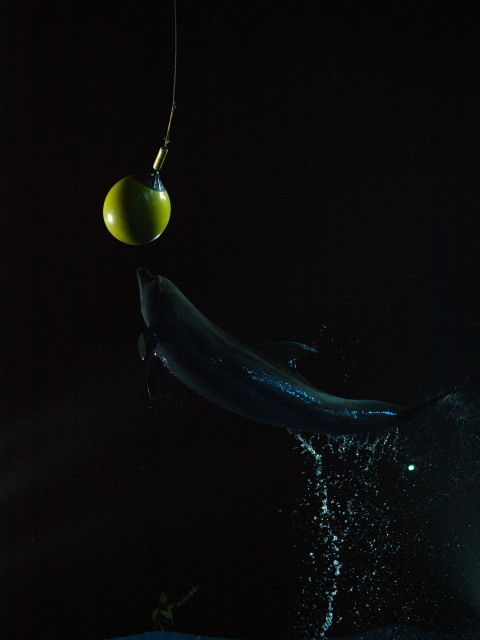 c0186760_21491463.jpg