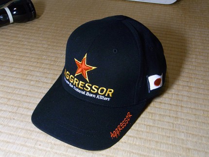 f0048860_2335525.jpg