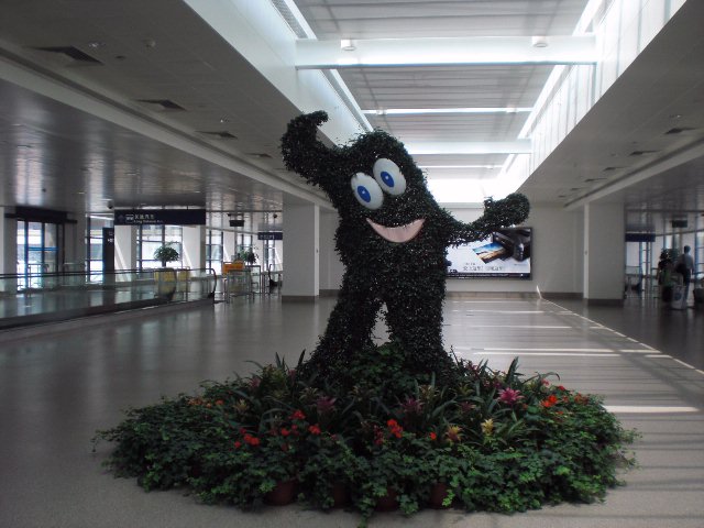 c0076764_536969.jpg