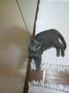 c0200365_0131523.jpg