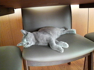 c0200365_043249.jpg