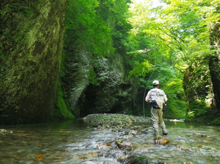 d0128167_2381081.jpg