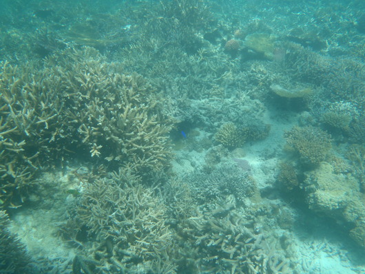f0016868_19194026.jpg