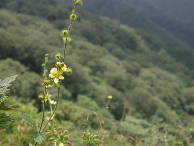 c0042869_22425827.jpg