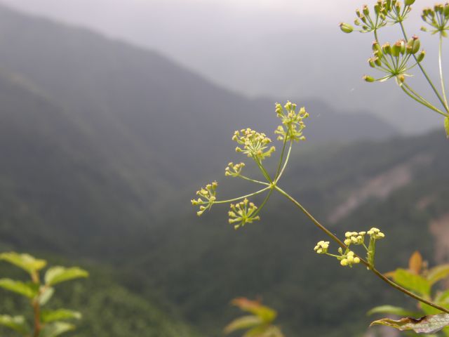 c0042869_22433737.jpg