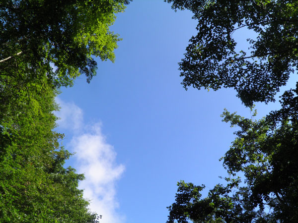 c0122670_235457.jpg