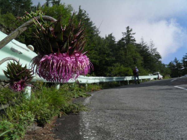c0122670_236882.jpg