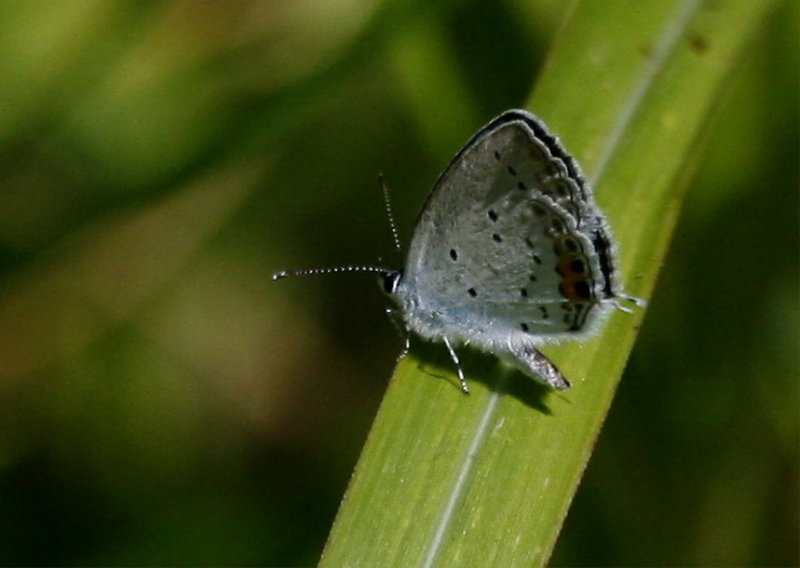f0181173_14372738.jpg