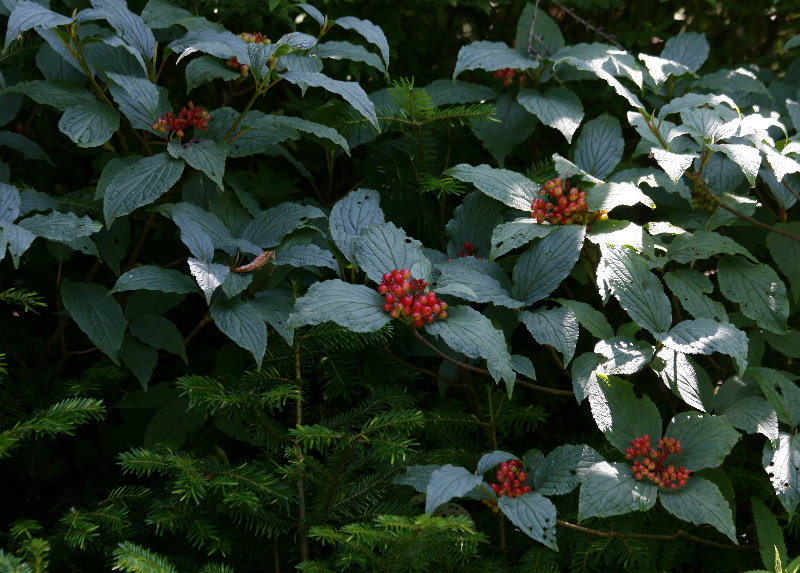 f0181173_14421397.jpg