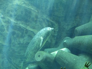 c0213777_7242466.jpg
