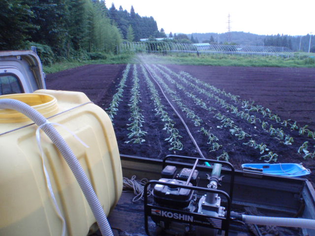 b0067179_21174774.jpg