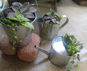 f0237680_9421777.jpg