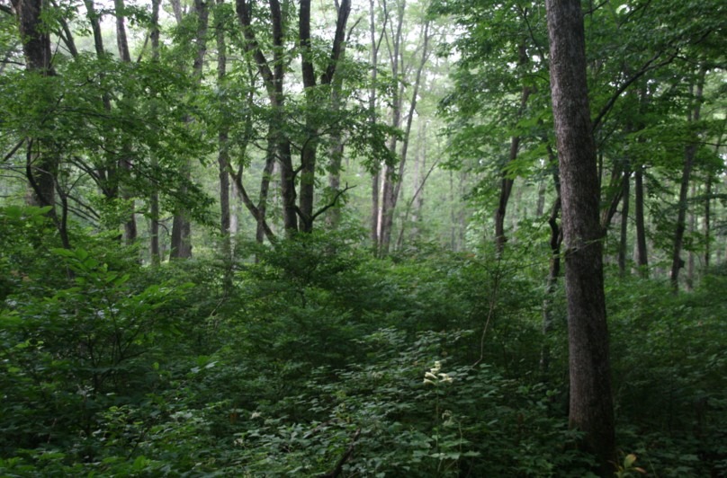 c0144185_14262630.jpg