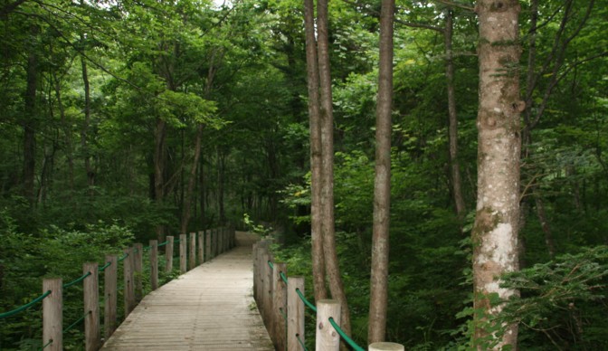 c0144185_14461858.jpg