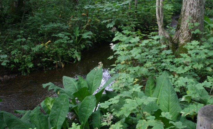 c0144185_14504329.jpg