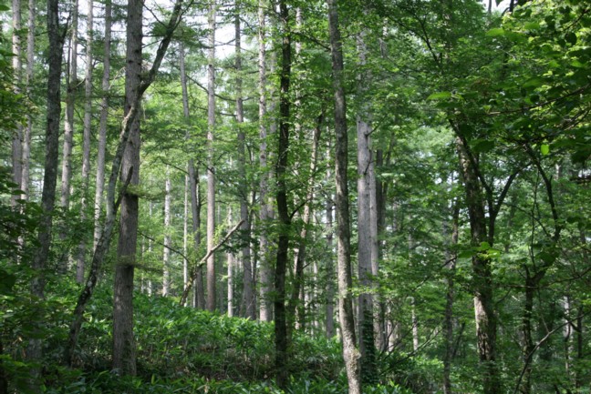 c0144185_15114134.jpg
