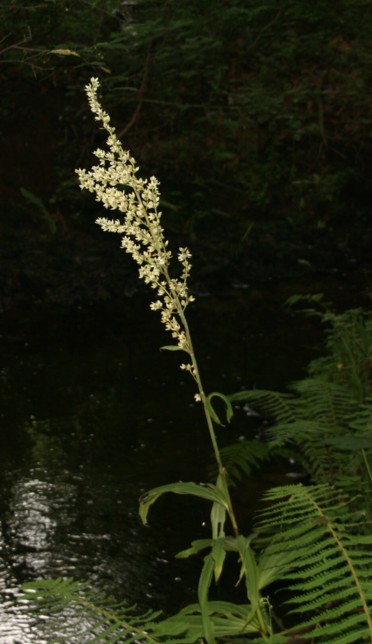 c0144185_15143432.jpg