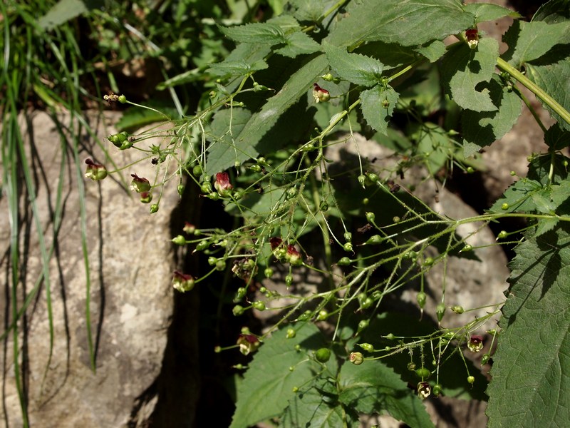 b0108186_23423130.jpg