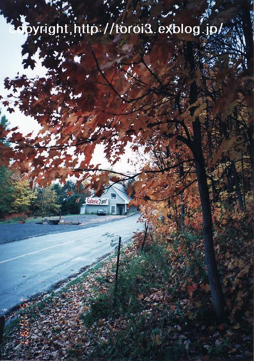 e0182288_23616.jpg