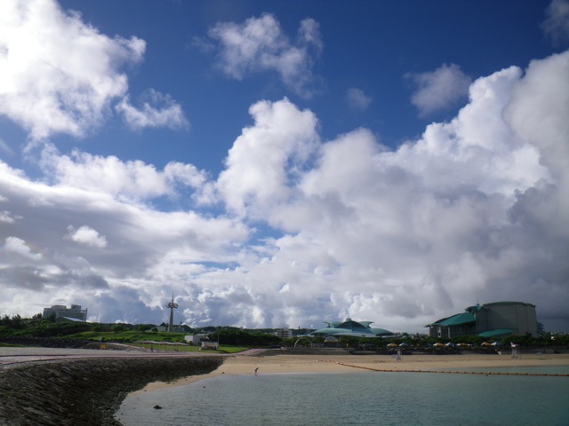 c0193396_138174.jpg