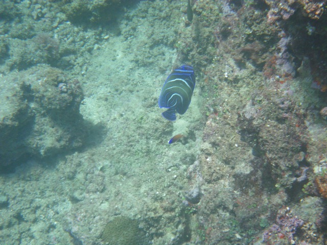 c0193396_1383061.jpg