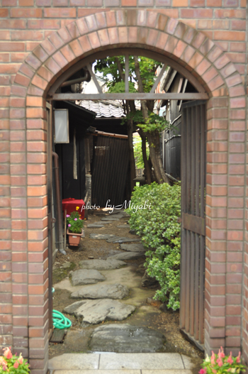 a0161698_19562785.jpg