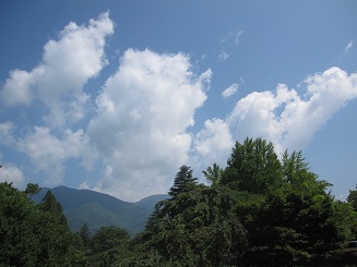 a0144399_1331464.jpg