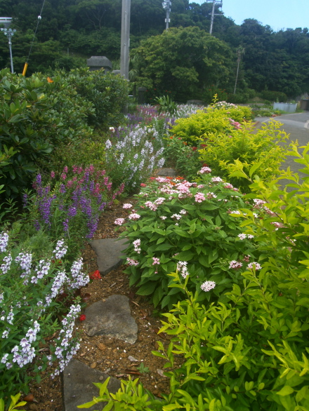 e0089001_2132422.jpg