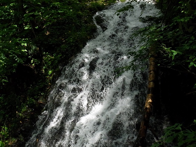 f0157901_15194731.jpg