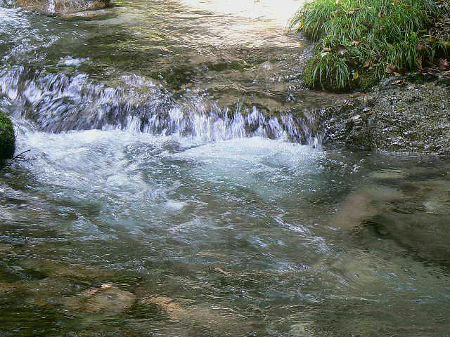 f0164503_17131791.jpg