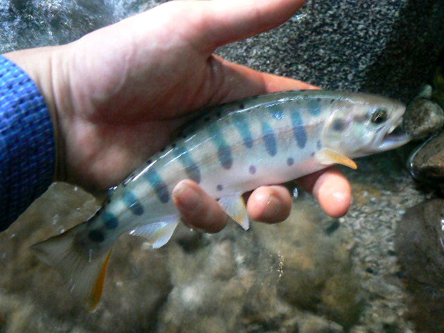 f0164503_1722111.jpg