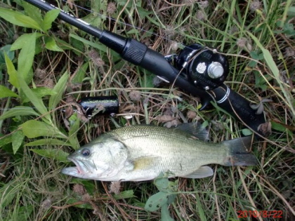c0023804_22553475.jpg