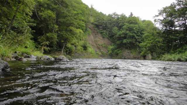 d0051707_21502158.jpg