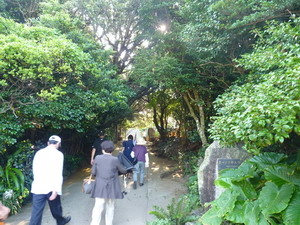 b0052108_16274092.jpg