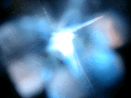 e0103408_197121.gif