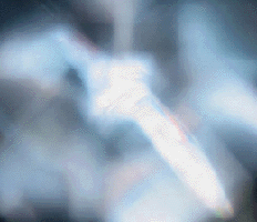 e0103408_1972860.gif