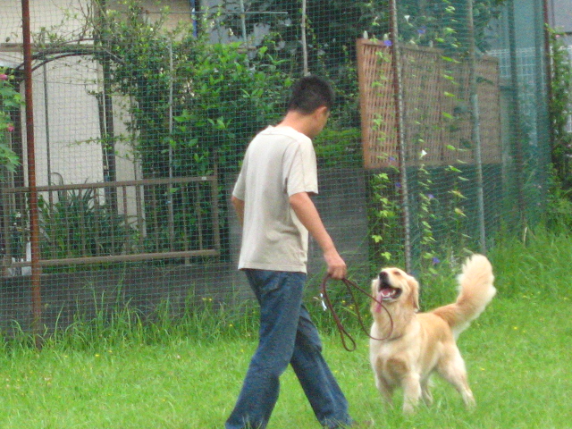 d0150309_20414030.jpg