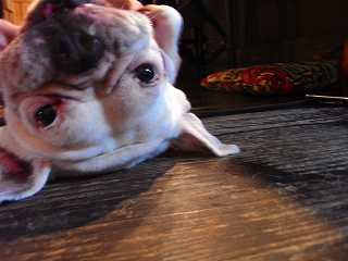 c0201910_21114685.jpg